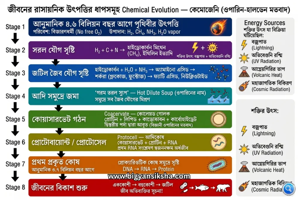Chemical Evolution (Chemogeny) steps