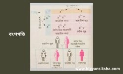 Hemophilia