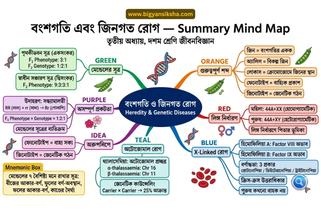 বংশগতি এবং জিনগত রোগ — Summary Mind Map তৃতীয় অধ্যায়, দশম শ্রেণি জীবনবিজ্ঞান