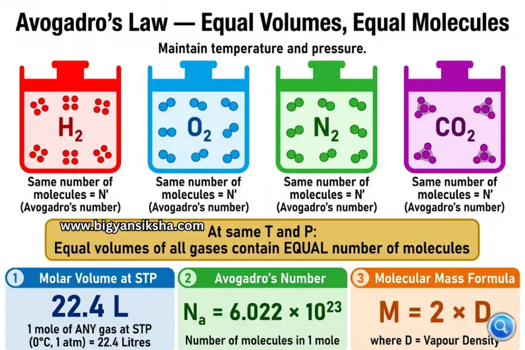 Avogadro's Law and Molar Volume