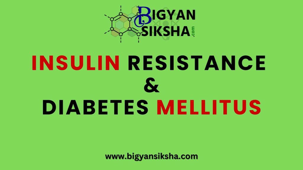 INSULIN RESISTANCE&DIABETES MELLITUS