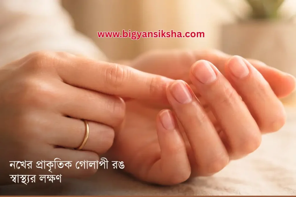 নখের স্বাস্থ্য ও রক্তাল্পতা পরীক্ষা