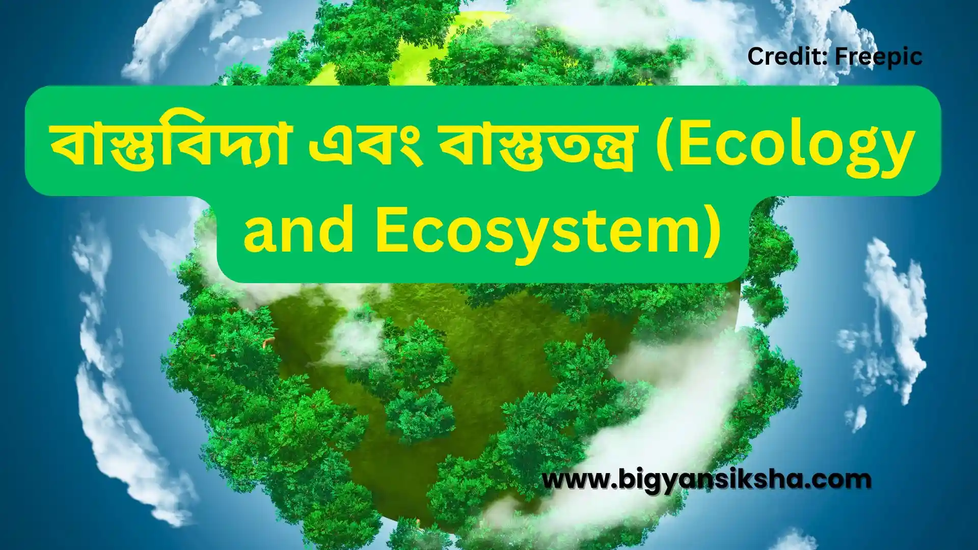 Ecology and Ecosystem