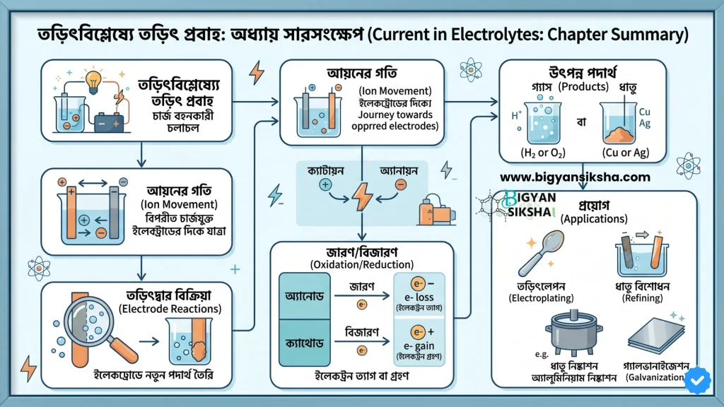 Electrolysis class 10