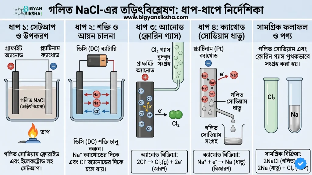 Electrolysis of molten NaCl