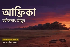 আফ্রিকা