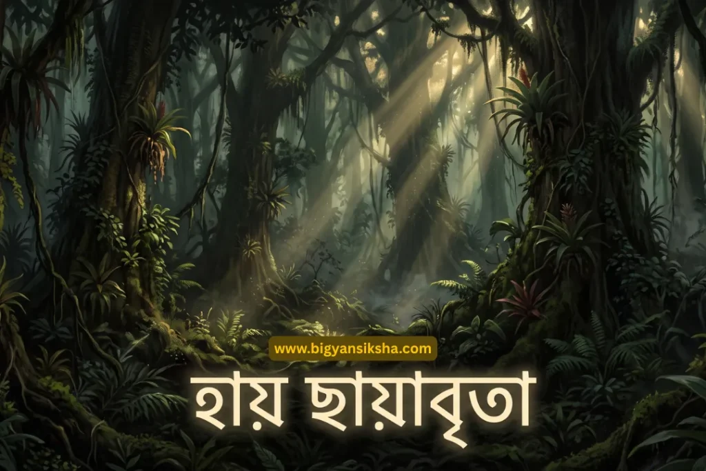 আফ্রিকা — রহস্যময় অরণ্য