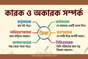 কারক ও অকারক সম্পর্ক