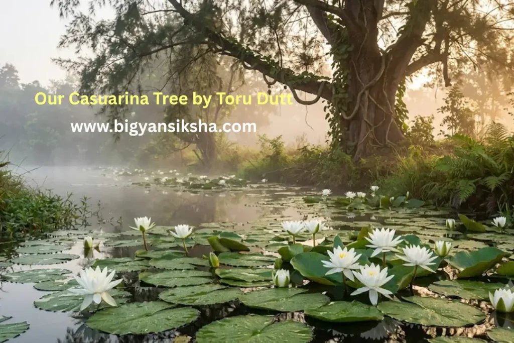 Our Casuarina Tree Toru Dutt WBCHSE MCQ