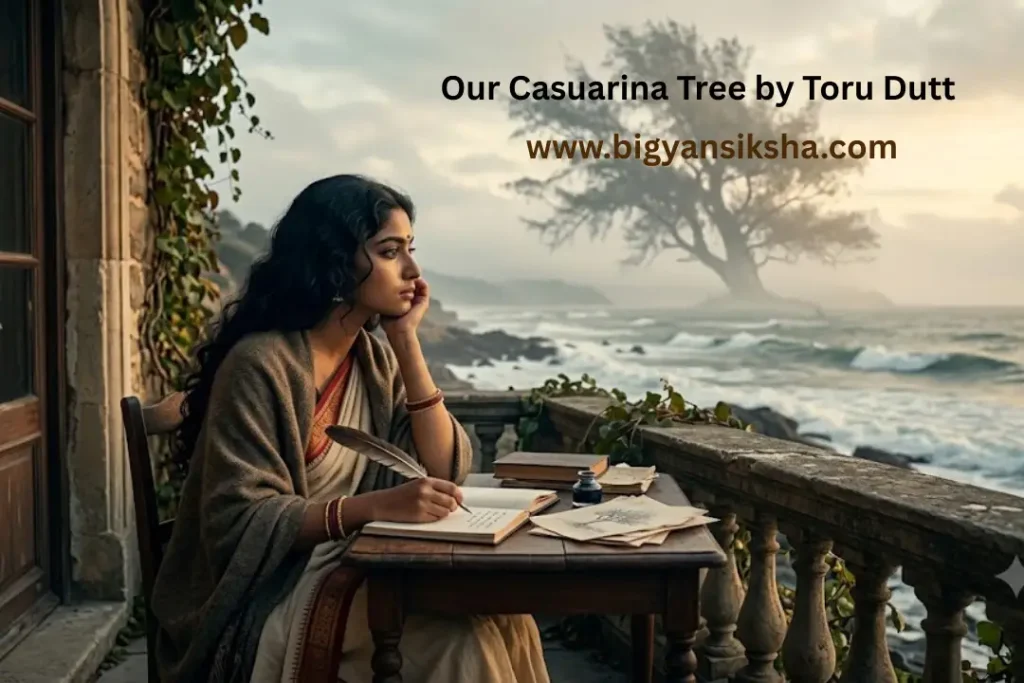 তৃতীয় সিমেস্টার, HS English