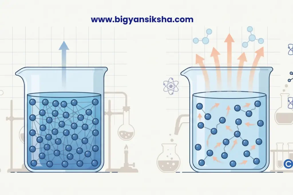 Colligative Properties, দ্বাদশ শ্রেণি রসায়ন
