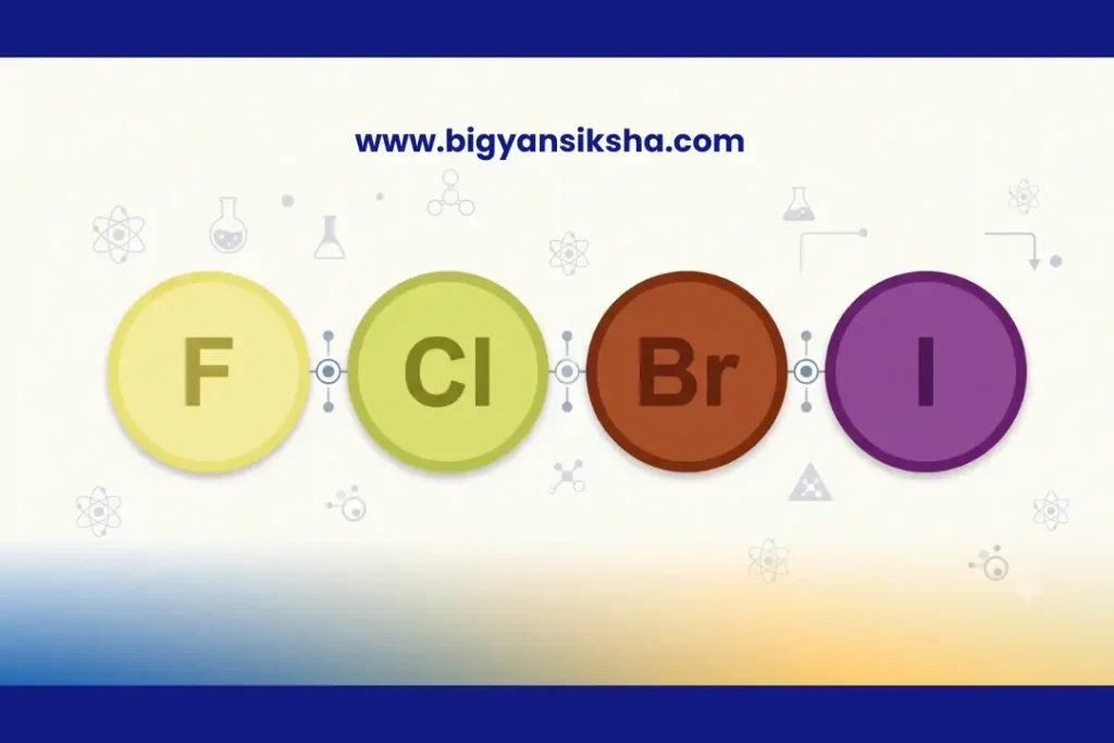 WBCHSE Class 12, তৃতীয় সেমিস্টার রসায়ন, হ্যালোজেন, জেনন যৌগ, দ্বাদশ শ্রেণি রসায়ন