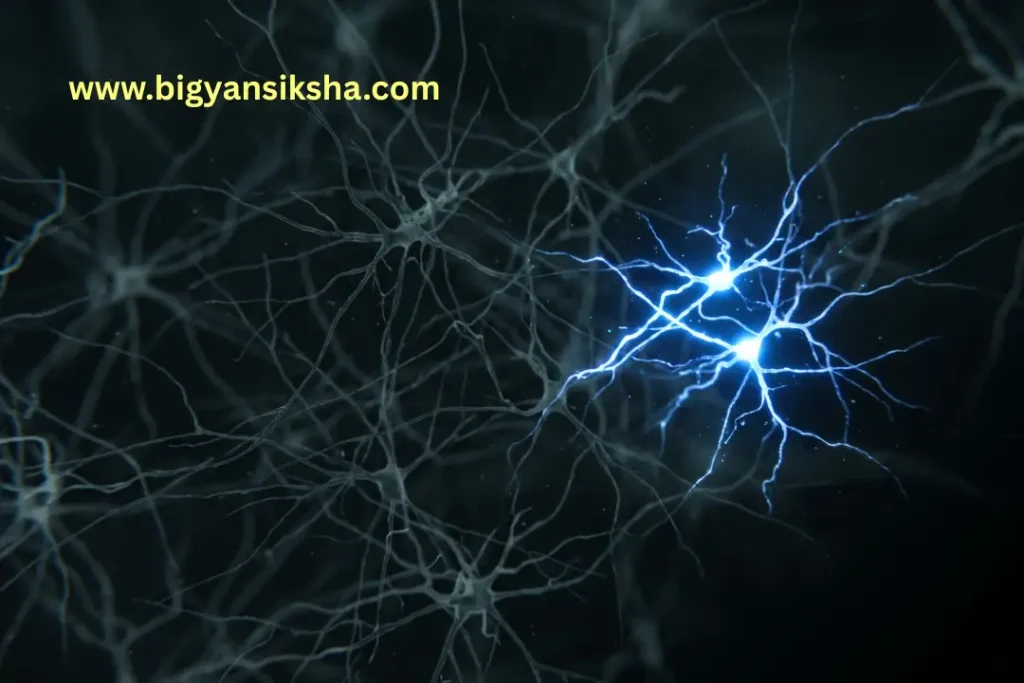 neurons-network-blue-lit-cluster
