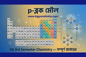 p-ব্লক মৌল (P Block Elements) - HS 3rd Semester